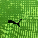 CAMISOLA PORTUGAL PUMA GUARDA-REDES I 2025 homem